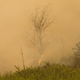 Image for article titled Photos: Inside the toxic haze, a “crime against humanity” caused by Indonesia’s fires